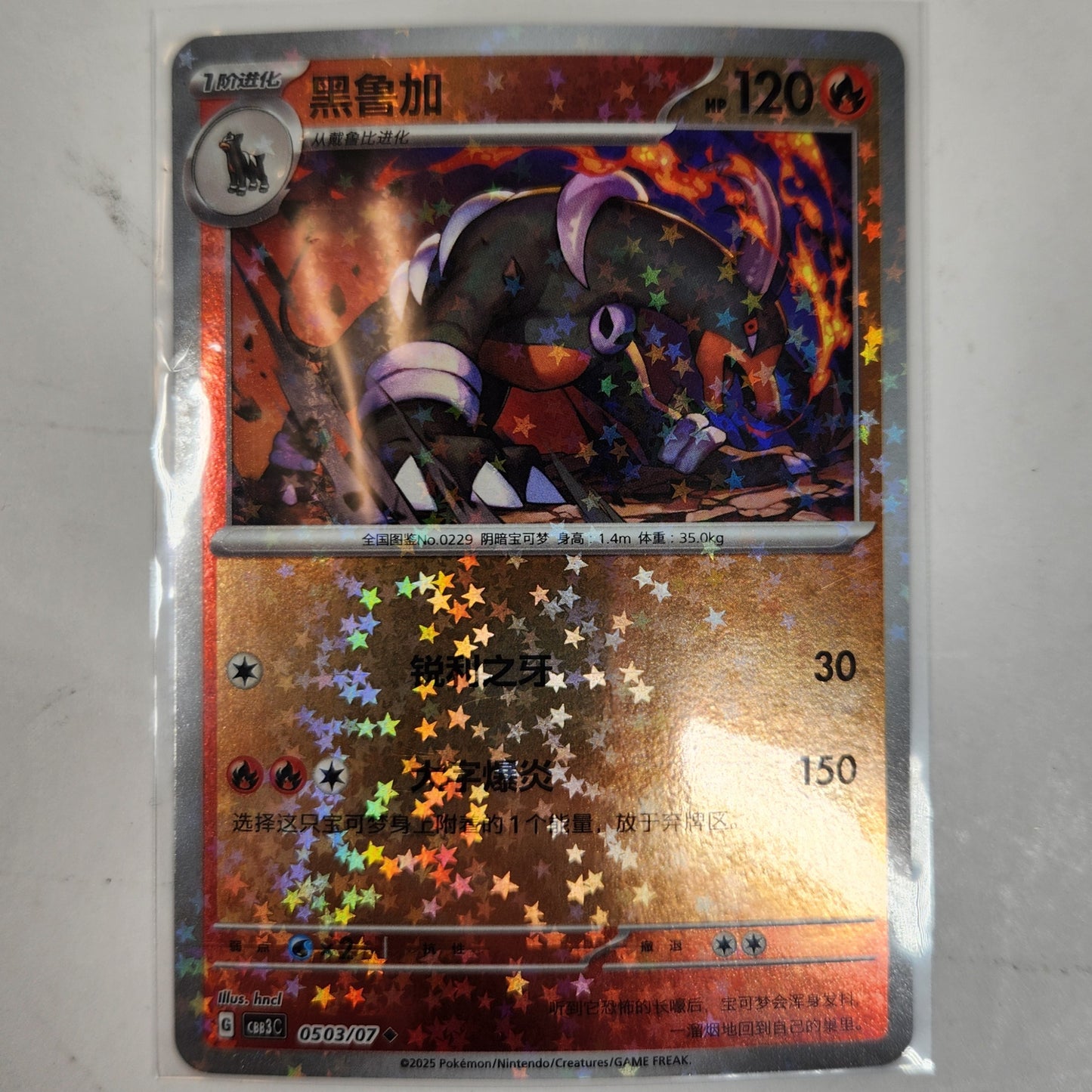 Houndoom EX Pokemon TCG Card Lot Bundle