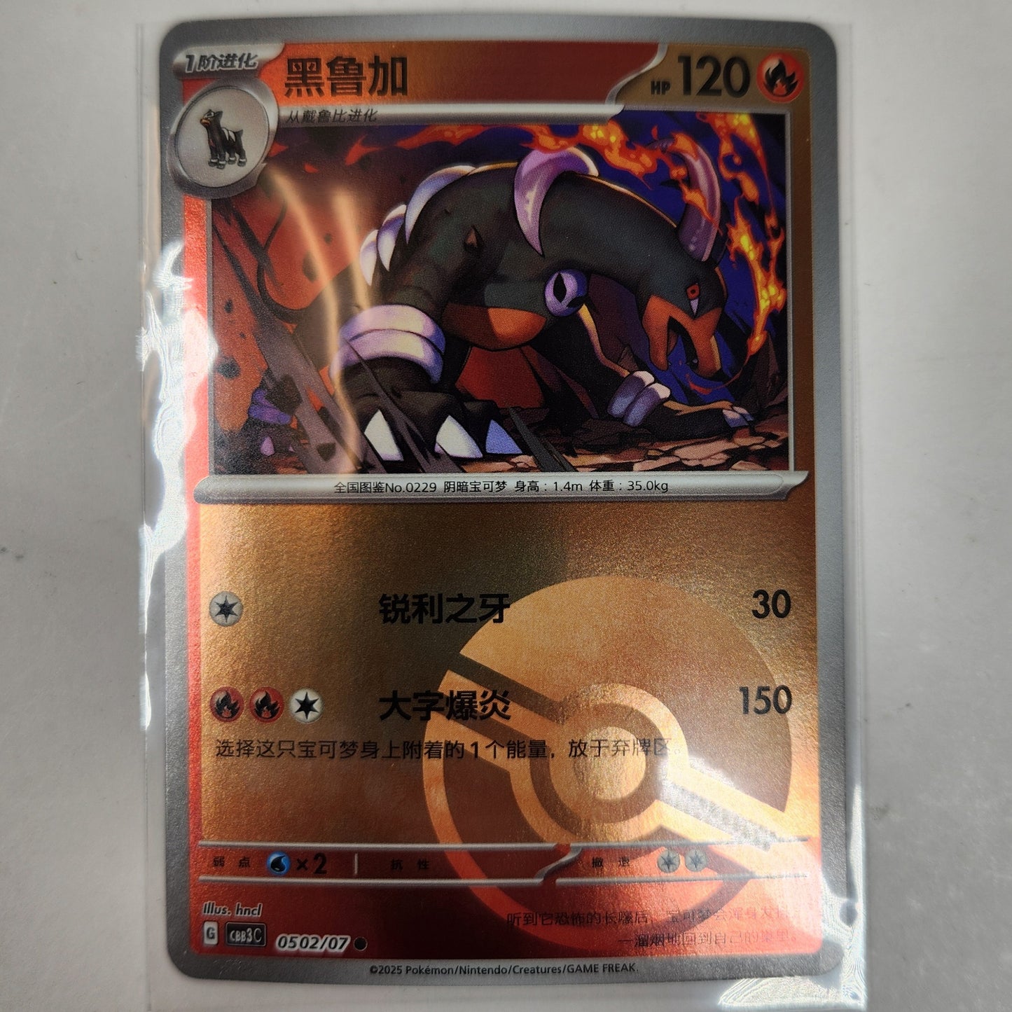Houndoom EX Pokemon TCG Card Lot Bundle