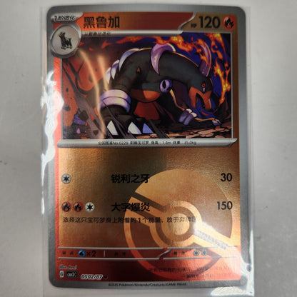 Houndoom EX Pokemon TCG Card Lot Bundle