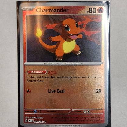 Charmander Pokemon Playset- Fire themed