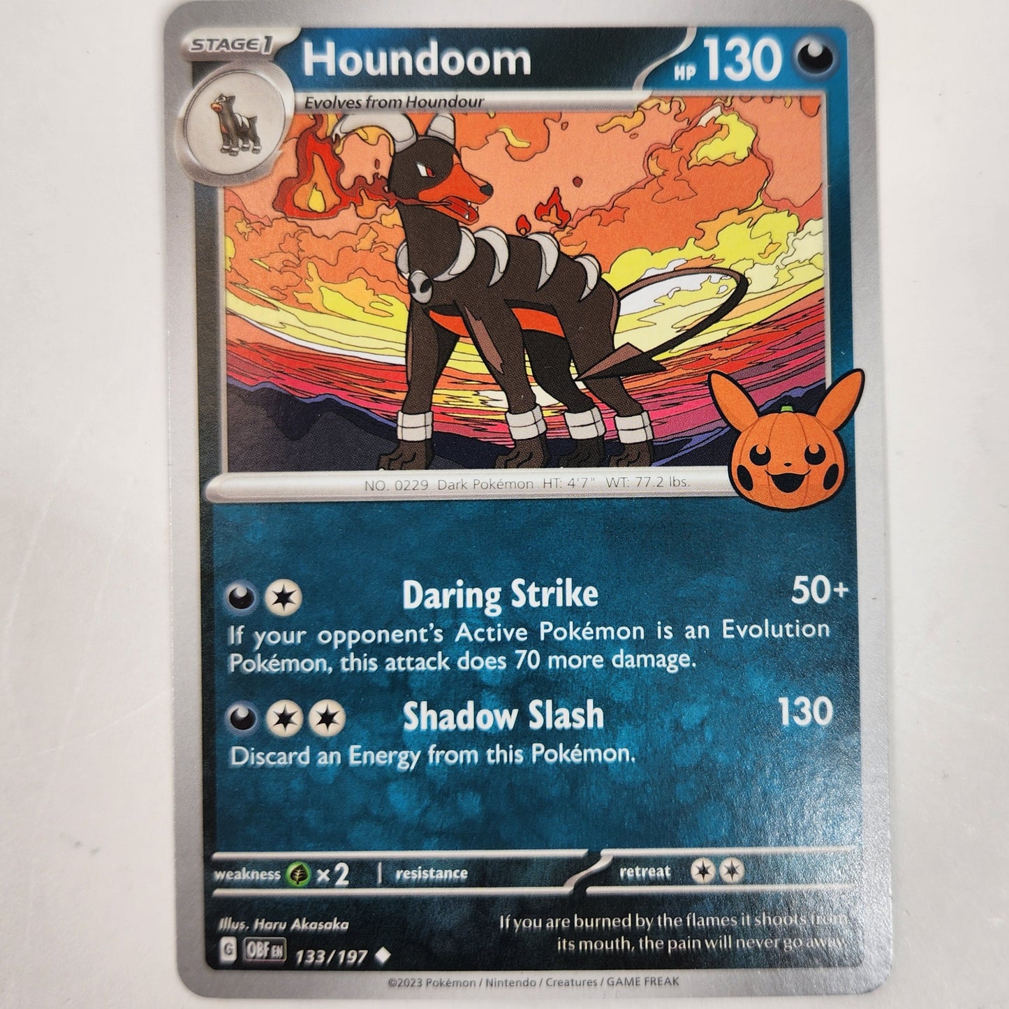 Houndoom EX Pokemon TCG Card Lot Bundle