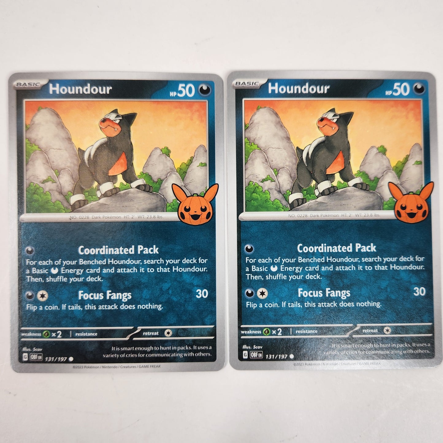 Houndoom EX Pokemon TCG Card Lot Bundle