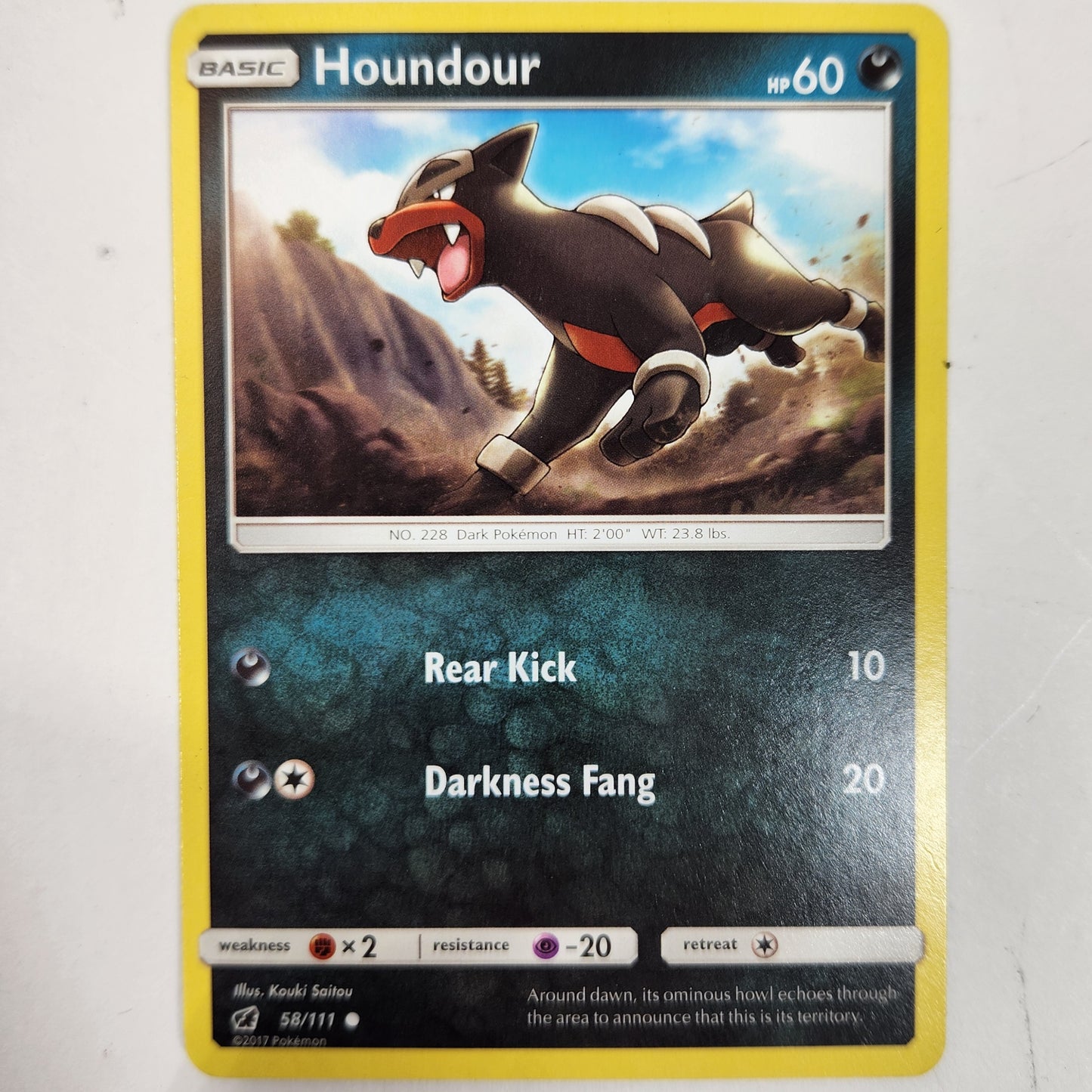 Houndoom EX Pokemon TCG Card Lot Bundle