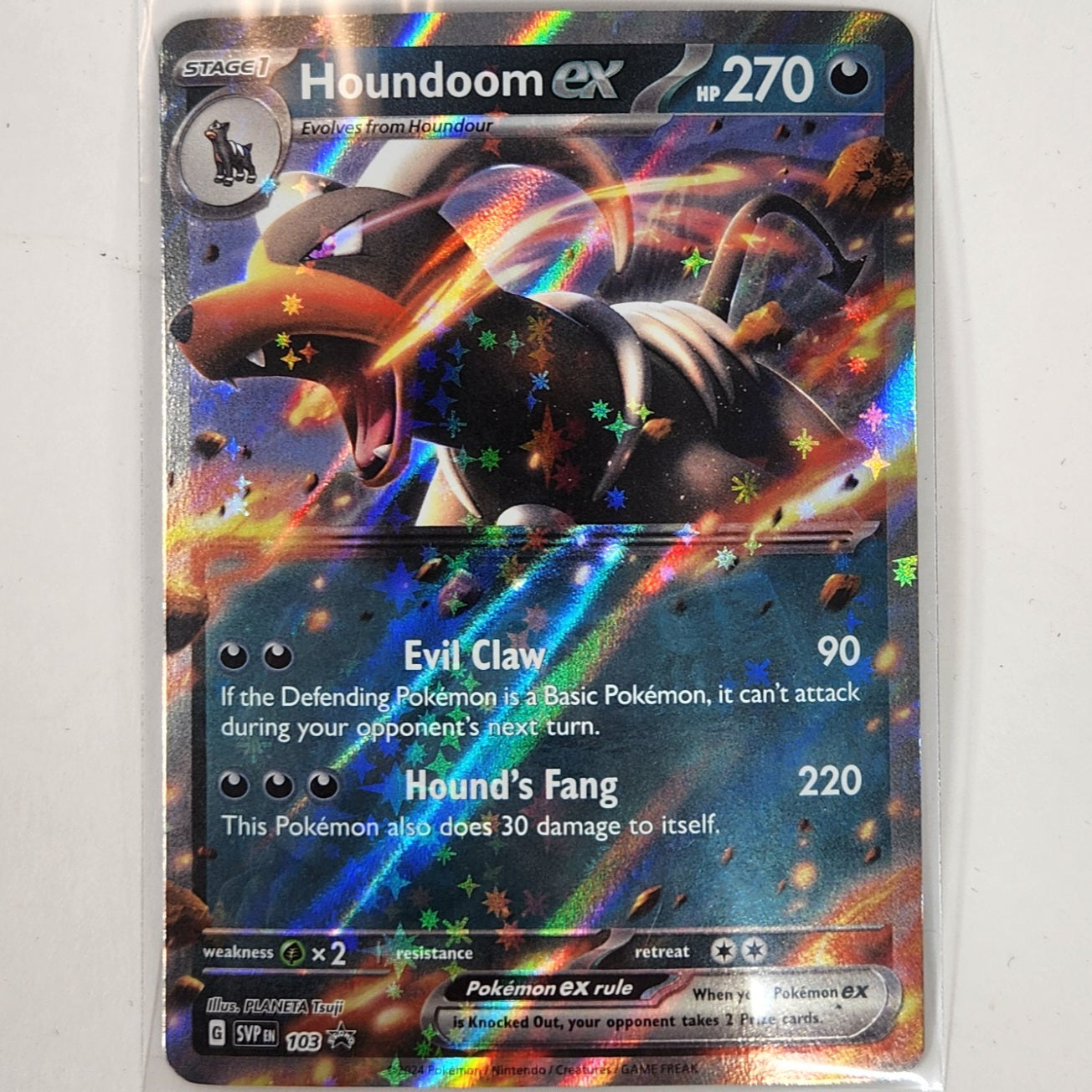 Houndoom EX Pokemon TCG Card Lot Bundle