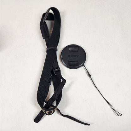 Sony Cyber-Shot DSC-H300 20.1MP Digital Point-And-Shoot Camera