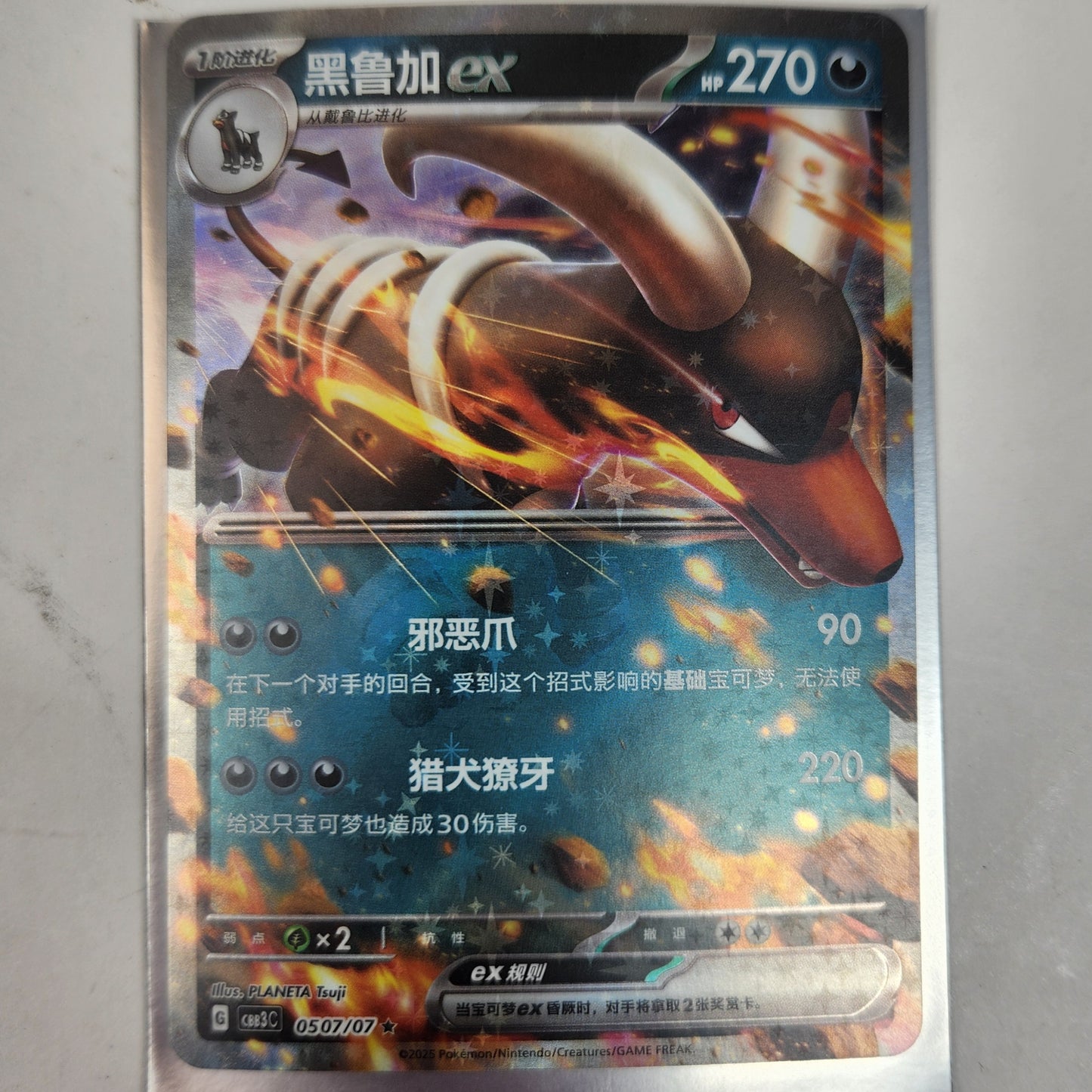 Houndoom EX Pokemon TCG Card Lot Bundle